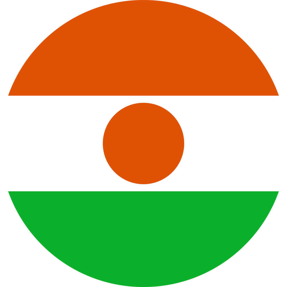 Niger Flag